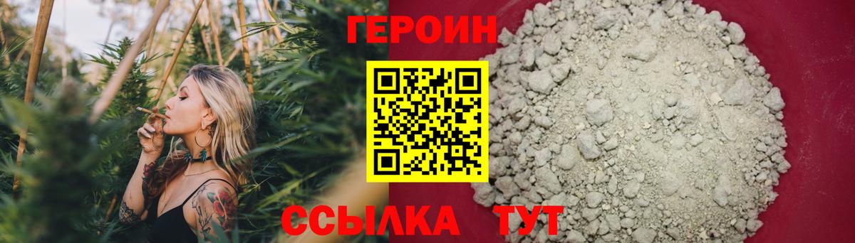 ГЕРОИН хмурый Бердск