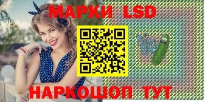 амф Гатчина