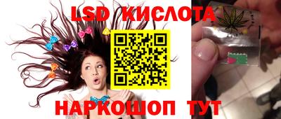 винт Гай