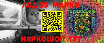 амф Гатчина