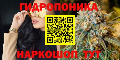 амф Гатчина