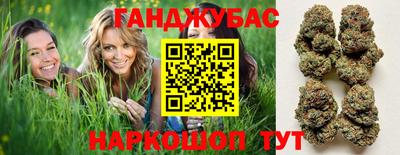 амф Гатчина